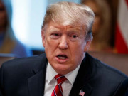 صدر ٹرمپ کی تارکین وطن کو امریکا سے نکالنے کی دھمکی