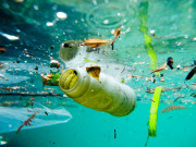 ایشیائی ممالک کا سمندری آلودگی روکنے کا فیصلہ