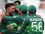 کرکٹ ورلڈ کپ میں پاکستانی ٹیم کی کارکردگی سے متعلق درخواست خارج