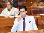 کرپشن اور منی لانڈرنگ کرنیوالوں کو چوراہوں پر گھمانے کےبعد پھانسی دی جائے فیصل واوڈا