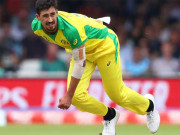 کہنی پر پٹیاں پلیٹ میں 3 انڈے ناشتے پر شائق کے طنز کا اسٹارک نے بدلہ لے لیا