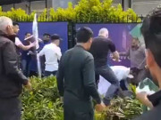 ورلڈ کپ میں سیکیورٹی تحفظات پی سی بی کی آئی سی سی سےشکایت