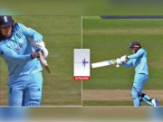 روئے کوآؤٹ نہ دینے پر بھارتی میڈیا اور شائقین کا علیم ڈار کیخلاف محاذ