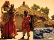 تھر کے مور اور مرتی ممتا