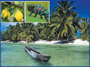  مڈغاسکر۔۔۔اچھوتی جنگلی حیات اور روشن ساحلوں کی حیرت انگیز دنیا