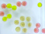 دنیا کا پہلا مکمل طور پر مقناطیسی مائع ایجاد