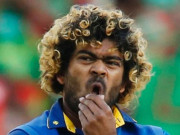 مالنگا ریٹائرمنٹ لے کر ہمیشہ کے لیے آسٹریلیا منتقل ہوجائیں گے