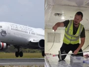 ایک سانپ نے آسٹریلوی پرواز میں گھنٹوں کی تاخیر کروادی