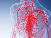 خون میں شکر کی بلند مقدار رگوں اور شریانوں کو متاثر کرتی ہے