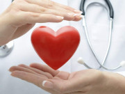 قلبِِ مُطہّر