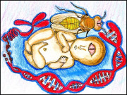 پاکستانی سائنسدانوں نے سائیکلوپیا مرض کا جانور ماڈل تیار کرلیا