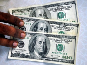 پاکستانی روپے کی بے قدری جاری ڈالر107 روپے کا ہوگیا