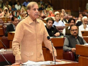 ہماری شہہ رگ پر ہاتھ ڈالنے والے مودی کے ہاتھ کاٹ دینے چاہیئں شہباز شریف