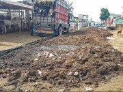 بھینس کالونی میں گندگی قربانی کے جانور بیمار ہونے لگے