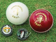 بگ بیش کیلیے ’’ اسمارٹ بال ‘‘ کی تیاری چپ نصب کردی گئی