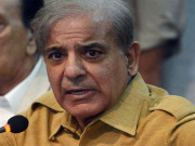 تفرقہ پیدا کرنے کے لیے ملک کے سربراہ ہی کافی ہیں شہباز شریف