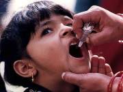 سندھ بھر میں انسداد ٹائیفائیڈ مہم 21 اکتوبر سے شروع ہوگی