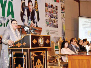 ایک سالہ کارکردگی کی حکومتی رپورٹ پیش