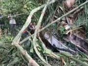 لاؤس میں چینی سیاحوں کی بس کو حادثہ 13 ہلاک