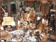 جنگلی حیات کی اسمگلنگ