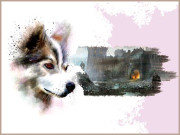 جہاں گشت  میرے چاروں طرف وحشت زدہ جنگلی کتّے بھونک رہے تھے