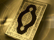 ناجائزکاروبار