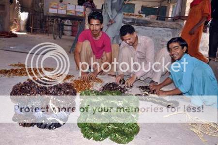  photo 17_zps3535e884.jpg