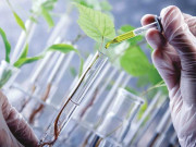 چین کو ڈیڑھ ارب نفوس کی شکم سیری کا چیلینج درپیش