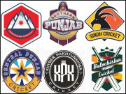 نیا ڈومیسٹک اسٹرکچر ٹیموں کے لوگوز سے کرکٹ کا عنصر ہی غائب