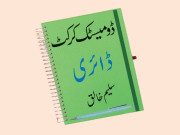 سوشل میڈیا پراسٹیڈیم فل حقیقت میں خالی