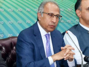 ٹیکسوں کے معاملے پر کسی سے بھی سودے بازی نہیں ہوگی حفیظ شیخ