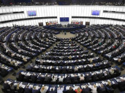 مقبوضہ کشمیر میں انسانی المیہ پیدا ہوچکا یورپی پارلیمنٹ میں 12 برس بعد مسئلہ کشمیر زیر بحث