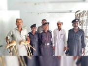 کیرتھر نیشنل پارک سے 7 شکاری گرفتار بکروں کا گوشت ضبط