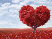 محبت کیوں ضروری ہے