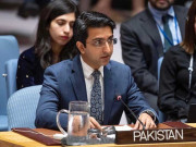 بھارتی حکومت آرایس ایس کے نظریے کوآگے بڑھارہی ہے پاکستان