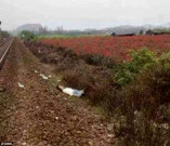 سیلفی کا جنون ایک اورجان لے گیا