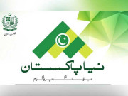 مصری سرمایہ کاروں کی نیا پاکستان ہاؤسنگ اسکیم میں دلچسپی