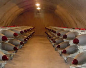 ایرانی ایٹمی تنصیبات پر تخریب کاری کا منصوبہ ناکام 4 گرفتار 