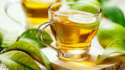 سبز چائے سے اینٹی بایوٹکس کی تاثیر میں اضافہ