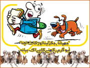 ’’جھپٹنا جکڑلینا اور کاٹ کھانا‘‘