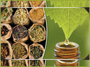 قدرتی ادویات کا استعمال بطور متبادل طریقہ علاج بڑھ رہا ہے