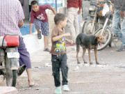 ایف سی ایریا پاگل کتیا 23 افراد کو کاٹنے کے بعد اپنے انجام کو پہنچ گئی