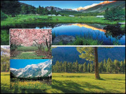 دیہاتی سرکاری اسکولوں کے اساتذہ صرف تنخواہ والے دِن نظر آتے ہیں