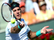 شنگھائی ماسٹر ڈیل پوٹرو نے نڈال کا قصہ تمام کردیا