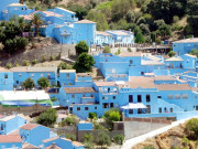 شہر کا شہر ہوگیا ہم رنگ 