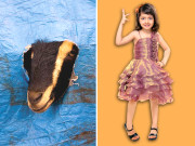 قربانی کے جانوروں اور بچوں میں قربت   