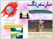 سارے رنگ
