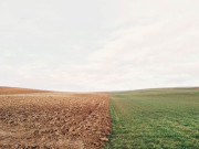 نامیاتی مائع کھاد کے پاکستان میں کامیاب تجربات