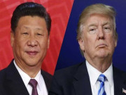 پروٹیکشن ازم ڈی انڈسٹریلائزیشن کا ایک بڑا سبب