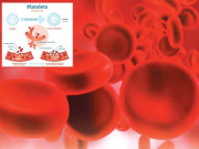 پلیٹلٹس platelets کیا ہیں اور کیوں گرتے ہیں